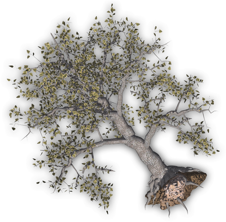 Uprooted Tree Clipart - Uprooted Tree Clipart (760x723)
