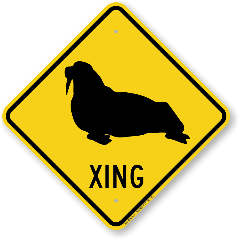 Walrus Xing Sign - Road Sign With Car (800x800)