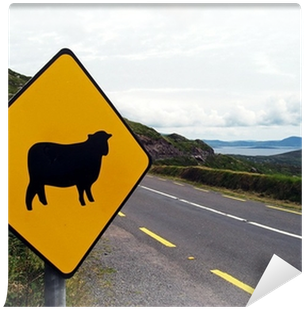 Sign Of Attention Crossing Sheep In Ireland Wall Mural - Sheep Sign (400x400)