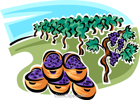 Blueberries Royalty Free Vector Clip Art Illustration - Blueberries Royalty Free Vector Clip Art Illustration (480x343)