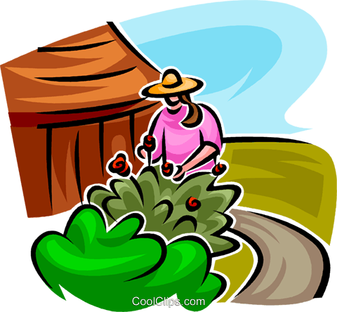 Gardener Looking After A Shrub Royalty Free Vector - Gardener Looking After A Shrub Royalty Free Vector (480x444)