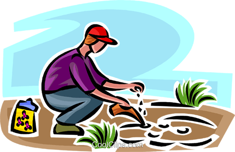 Gardener Planting Seeds Royalty Free Vector Clip Art - Ways Of Conserving Natural Resources (480x310)