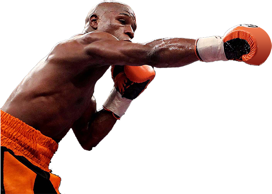 Floyd Mayweather - Floyd Mayweather Vs Victor Ortiz (557x400)