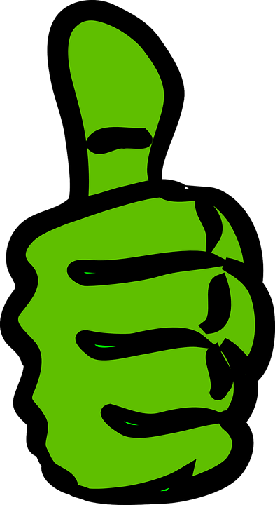 Tree And Lawn Service - Wrong Png (393x720)