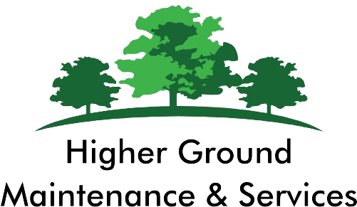 Higher Ground Maintenance And Services - Puritan's Pride Shark Cartilage 740 Mg-100 Capsules (500x302)