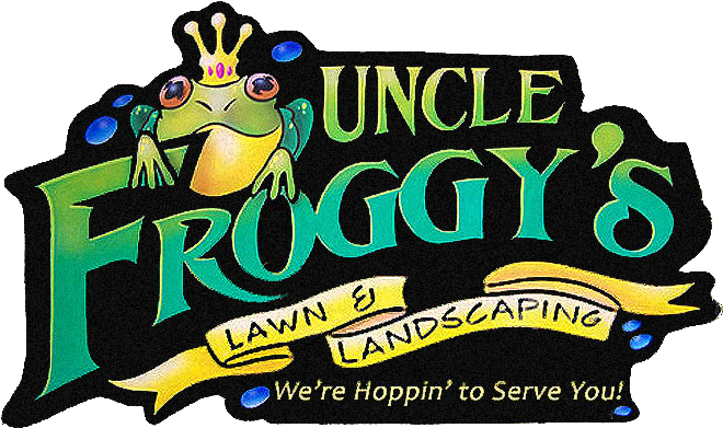 Our Services - Uncle Froggy (701x431)