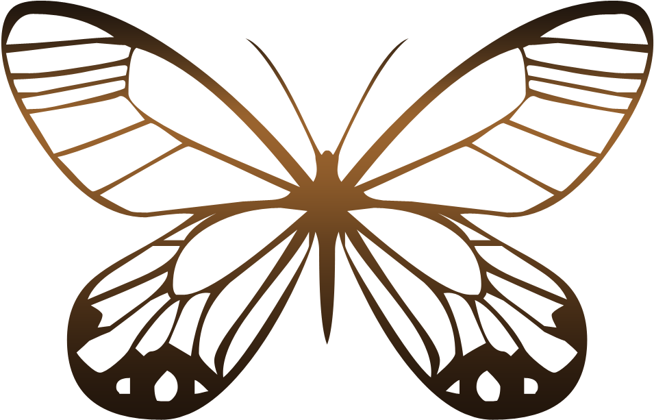 Butterfly Animation Photography - Immagini Di Farfalle Glitterati (1000x1000)