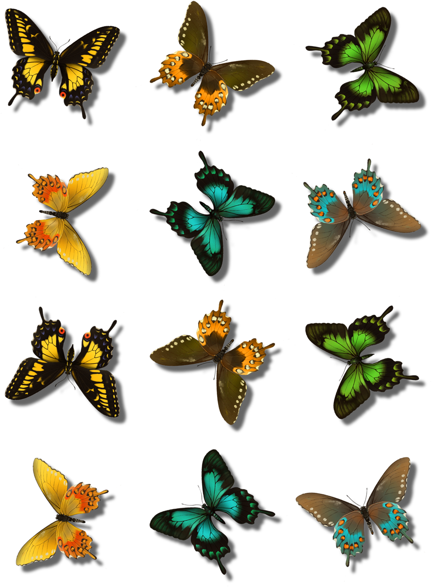 Butterfly Tube Converted To Animated Brush - Papilio (900x1200)