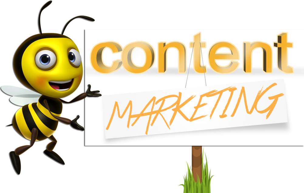 For 2014, Content Marketing Will Be The Latest And - Photography (1000x679)