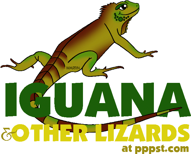 Iguana Clip Art - Iguana Pictures For Kids (648x533)