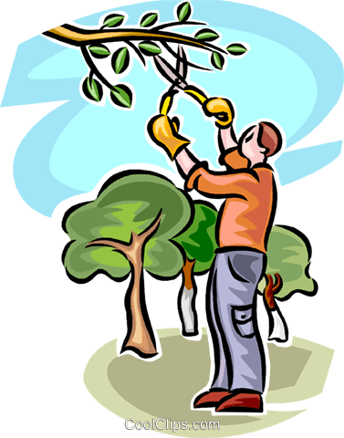 Tree Service Clip Art - Tree Trimming Clip Art (377x480)