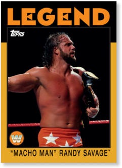Randy Savage Free Png 15 Png Images - 2016 Topps Heritage Wwe Ricky The Dragon Steamboat (400x400)