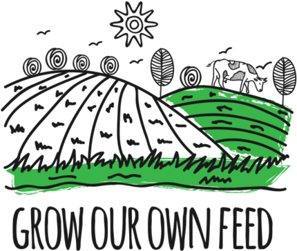 Cattle Feed Grown Across Our Own Land, Ensuring The - Organic Milk (500x376)