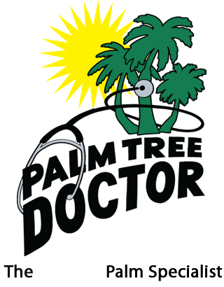 Crownshaft Palm Tree Clipart - Diseased Palm Trees (320x410)