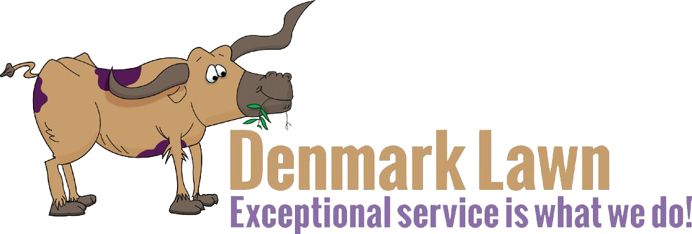 Fort Worth Lawn Care - Customer Service Week Logo 2011 (985x334)