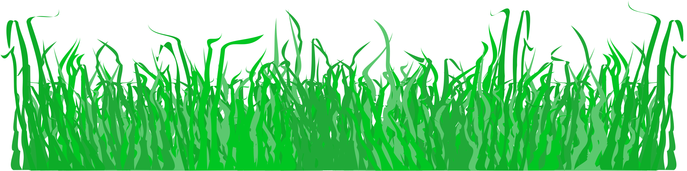 This Free Icons Png Design Of Grass For A Lawn - Lawn (2400x644)