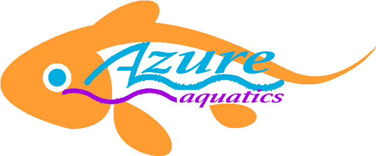 Photo Of Azure Aquatics Llc In Fair Lawn City, New - Coral Reef Fish (737x737)