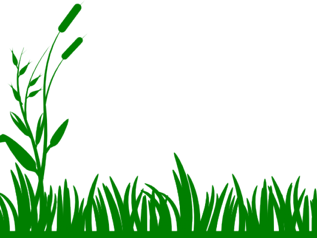 Lawn Clipart Free Clipart On Dumielauxepices Net Rh - Grass Flat Design Png (640x480)