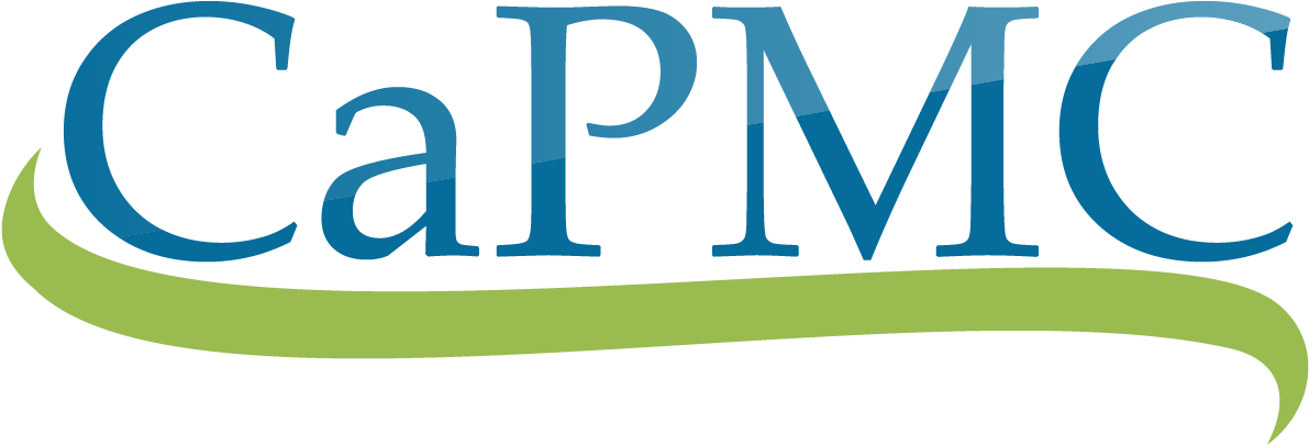 Ca Project Management Consultants - Management (1250x485)