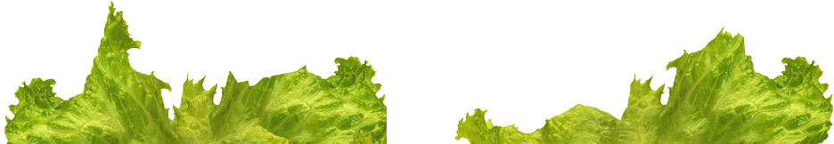 Kabul Restaurant Bremen - Lettuce (935x186)