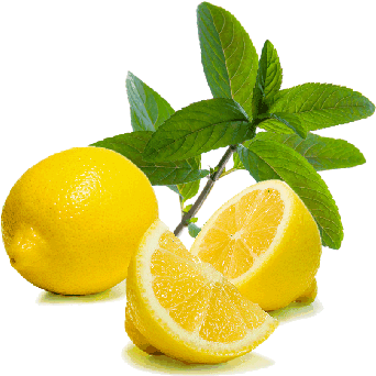 Anavatanı Çin Ve Hindistan Olarak Kabul Edilir - Dot Shot Anti Hangover Drink 70 Ml (pack Of 4) - Party (350x350)