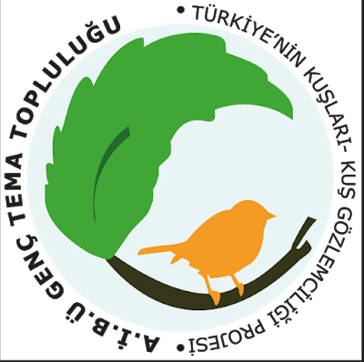 Http - //bbv - Org - Tr/duyurular/genc Tema Kus Gozlem - Centimetre (400x398)