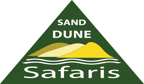 Sand Dune Safaris Stockton Beach - Sand (459x269)