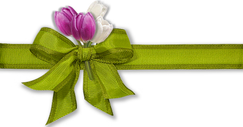 Yaptığım Hiçbir Şey Sana Gizli Kalmaz - Barre De Separation Hortensias (500x262)