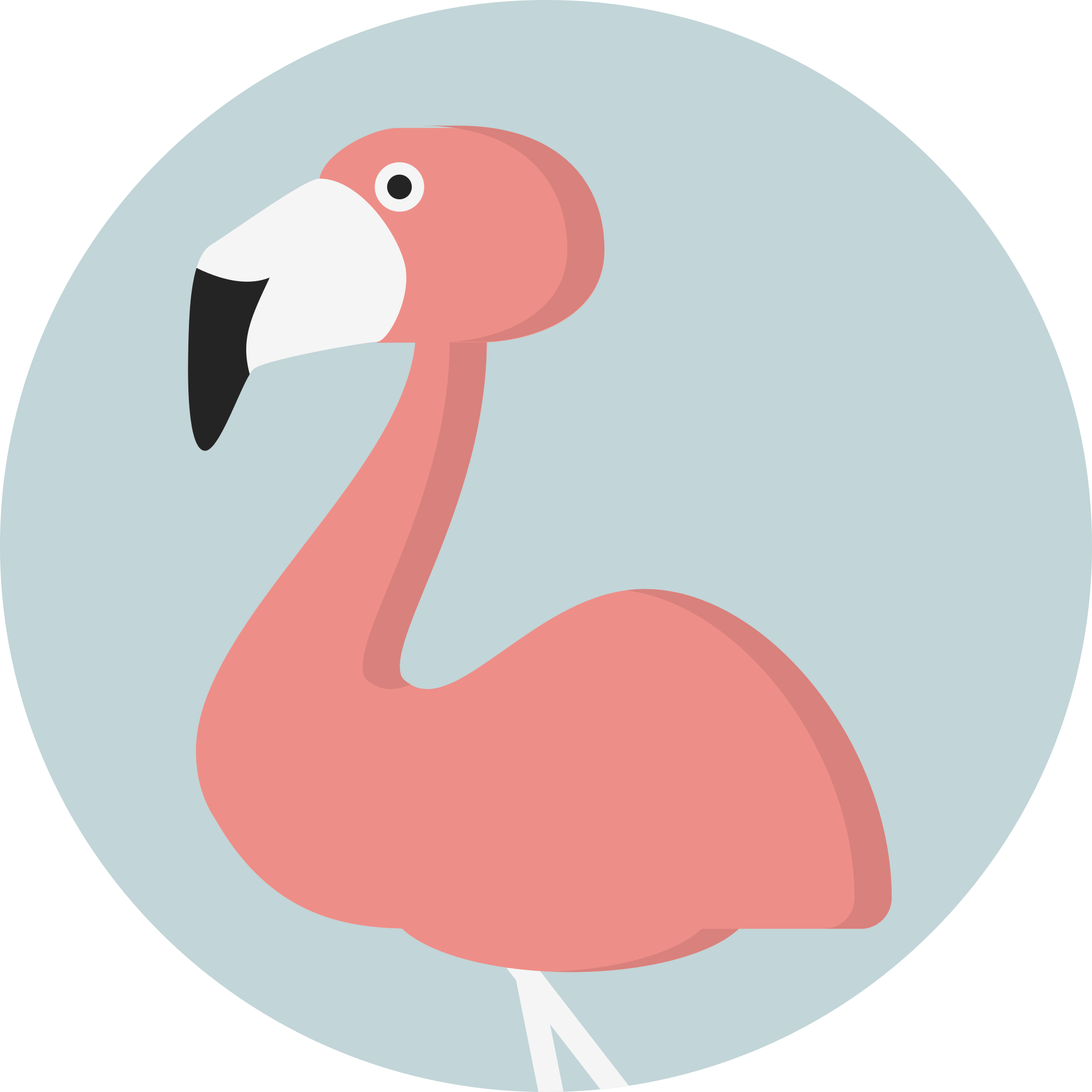 Creative Tail Animal Flamingo - Creative Tail Animal Flamingo (2000x2000)