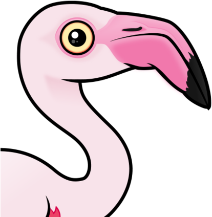 About The Greater Flamingo - Greater Flamingo (440x440)