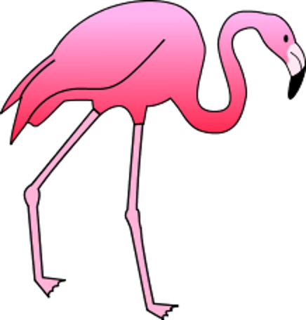 Flamingos - Greater Flamingo (436x456)