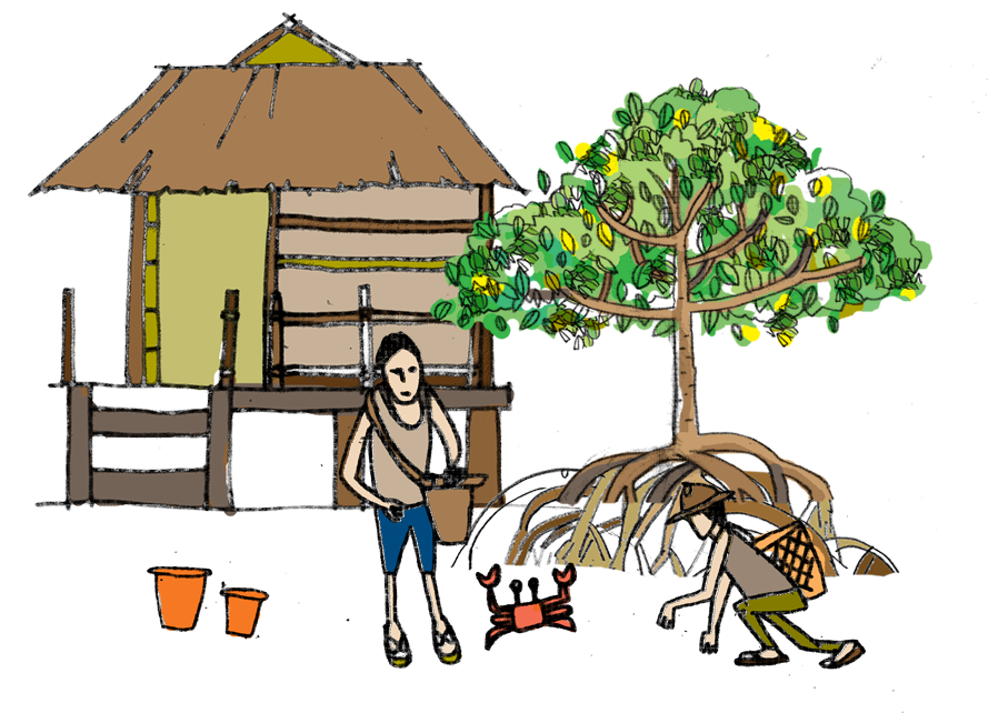 Mangrove Clipart Forest Ecosystem - Illustration (889x642)