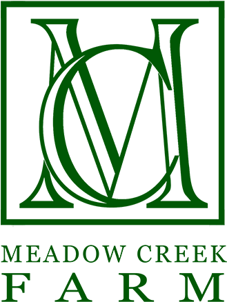 Young George W Bush (500x500)