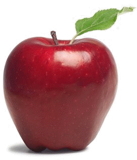 Apples - Mista By John J. Kaminski 9781452031323 (paperback) (345x348)