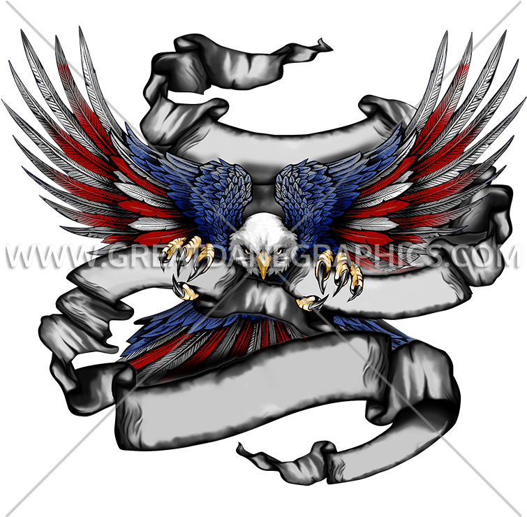 Bald Eagle (825x739)