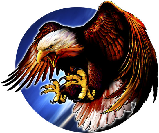 Patriotic Fabric, Eagle Fabric, Custom Print Fabric - Art (600x560)