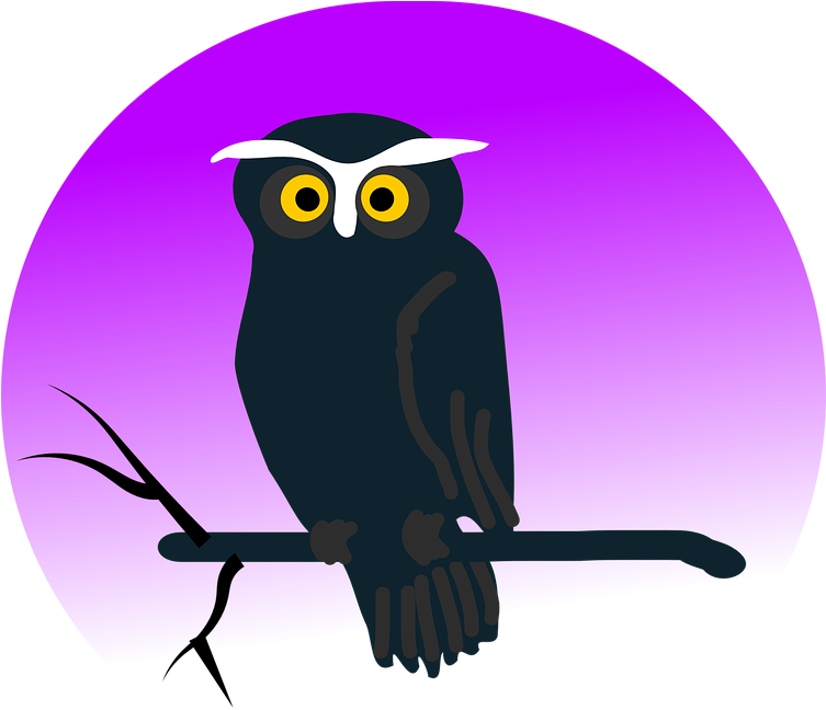 Eagle Clipart Halloween - Halloween Owl Shower Curtain (752x720)