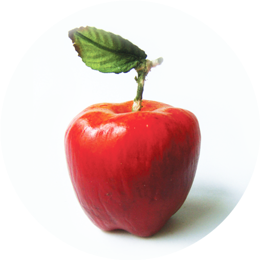 M-303 Red Apple - Apple (600x600)