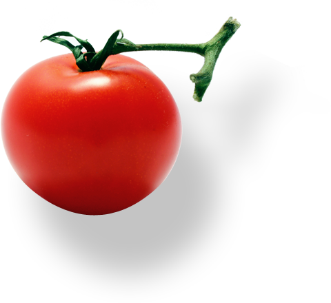 Shadow Cherry Apple - Tomato (480x440)
