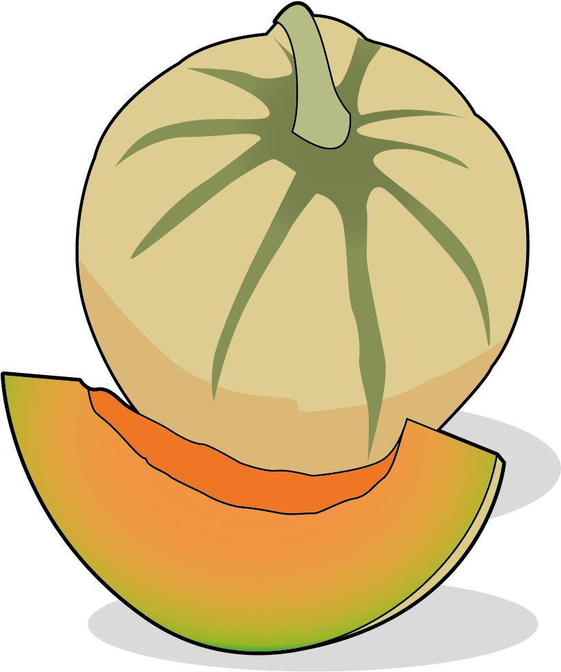 Icone D'un Melon, Ailmacocotte - .com (1181x1181)