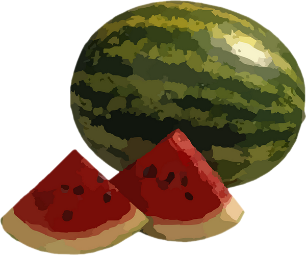 Gallery Of Pastque Png Dessin Watermelon Drawing Sandia - Watermelon (600x500)