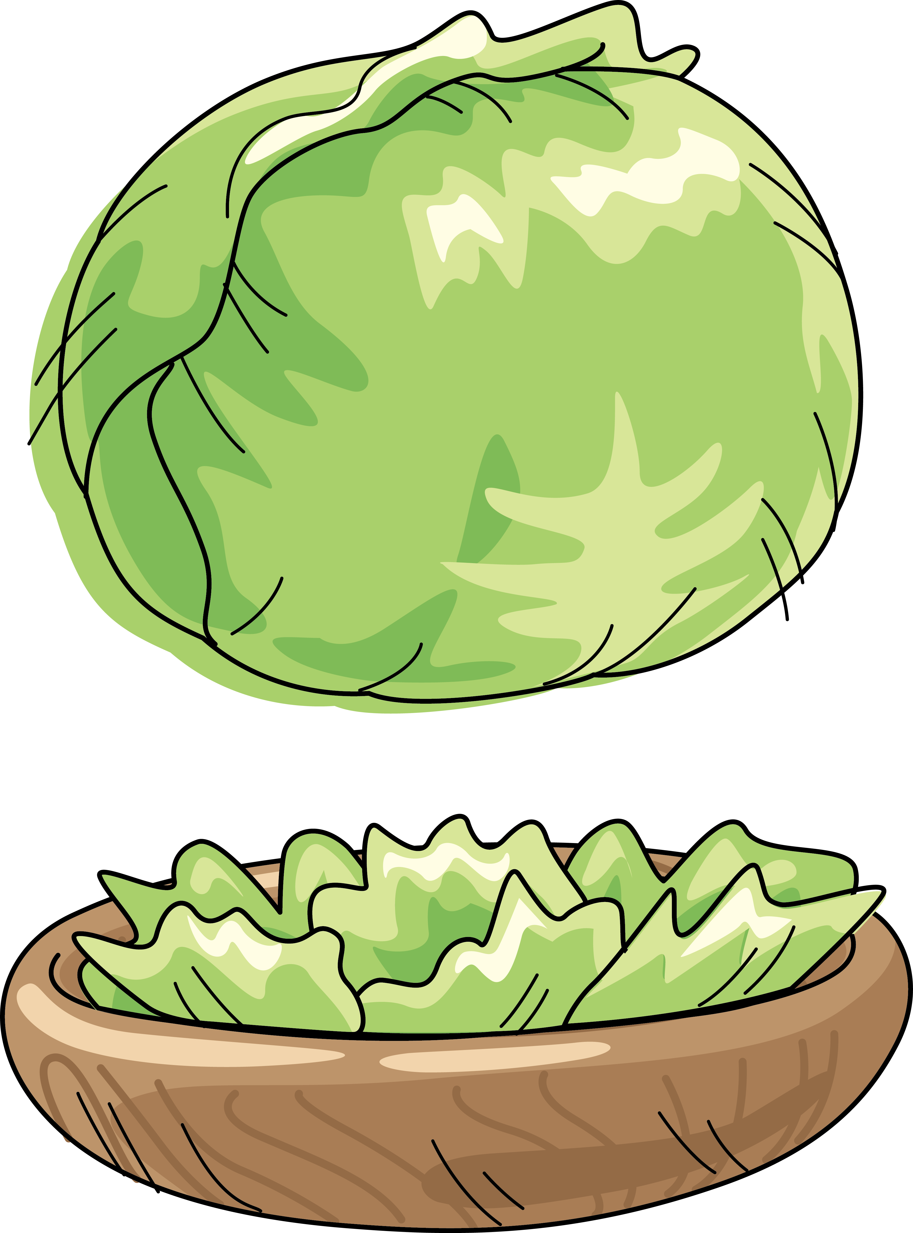 Melon Clipart Green Watermelon - Chinese Cuisine (3700x4999)
