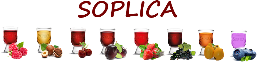 Backgtound-top - Soplica (940x270)