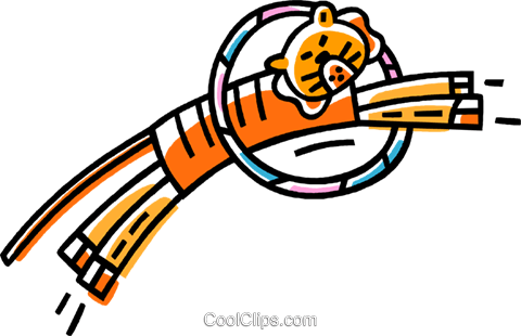 Salto Do Tigre Através De Um Aro Livre De Direitos - Clip Art (480x310)