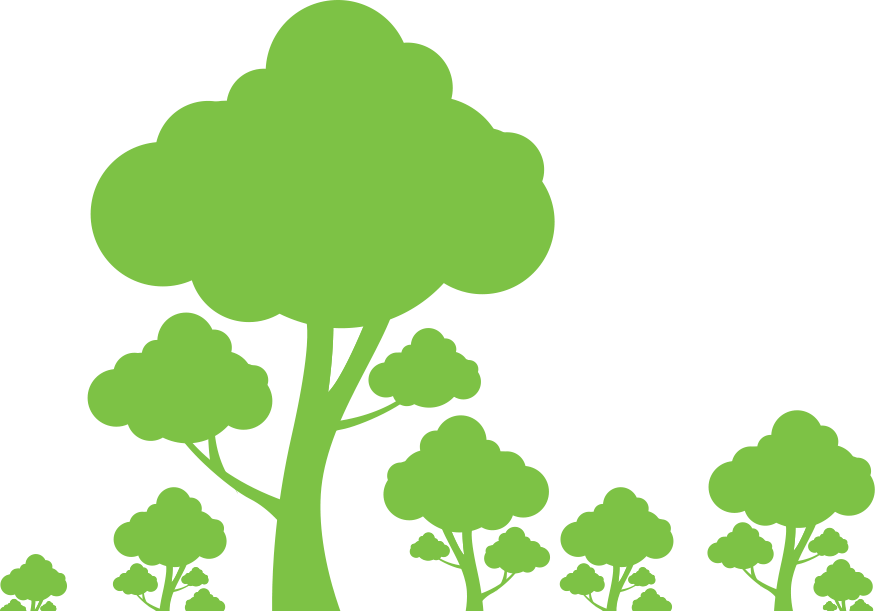 Did You Know - Ways To Conserve Trees (875x611)