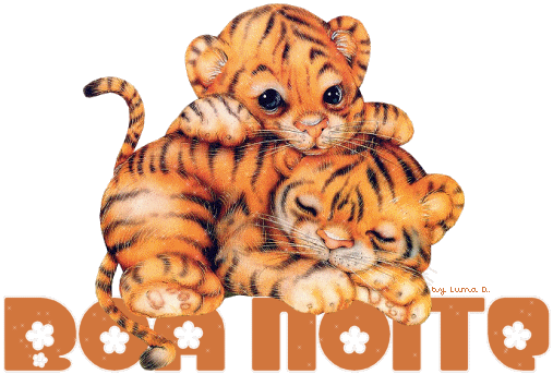 Compartilhar - Boa Noite Gifs Fofinhos (507x343)
