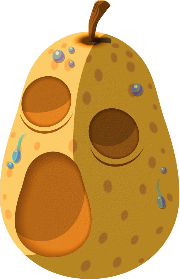 Zunari S Trading The Legend Of Zelda Wind Waker Wiki - Hyoi Pear (614x950)