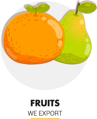 Guaranteeing Punctuality In Delivery Times Is A Key - Illustration (332x385)