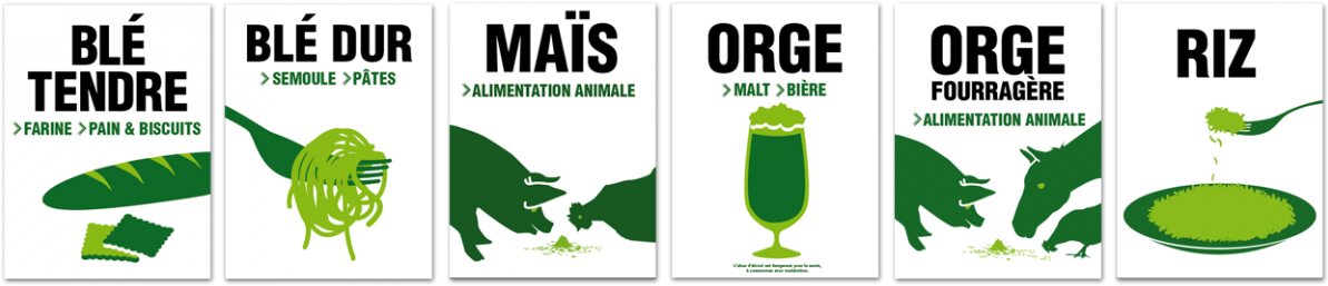 Cultures Disponibles - Voltige 2001 (1200x264)