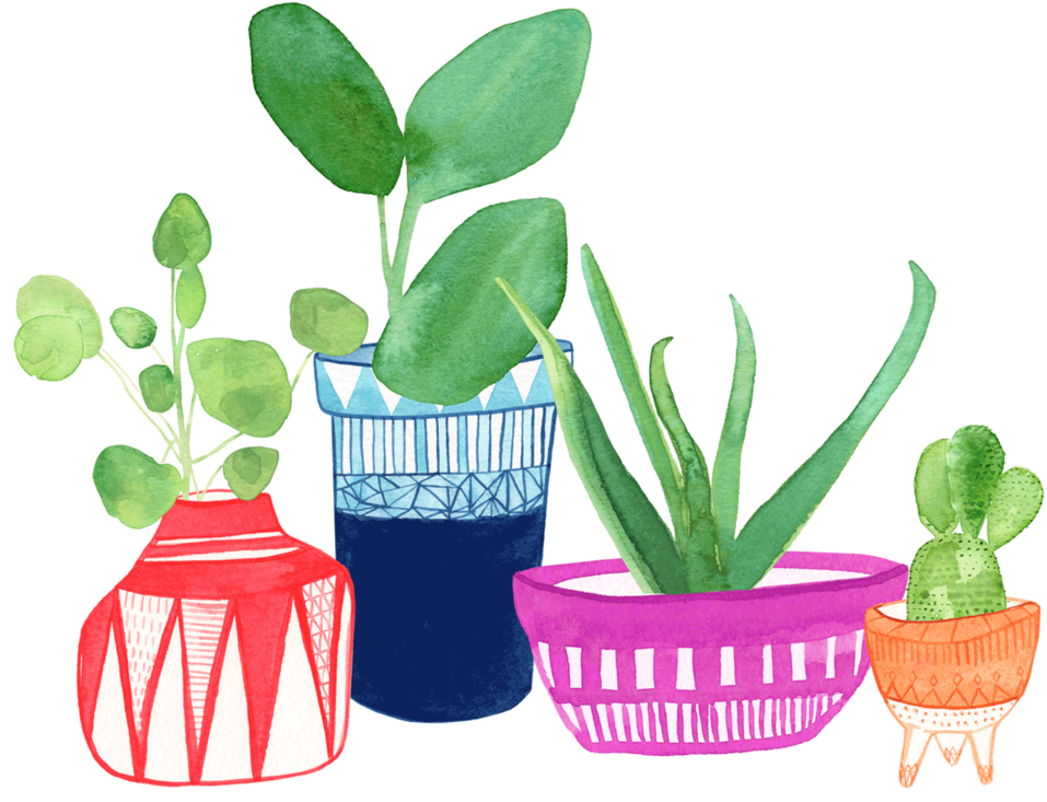 Plant Pots Succulent Clipart (1000x800)